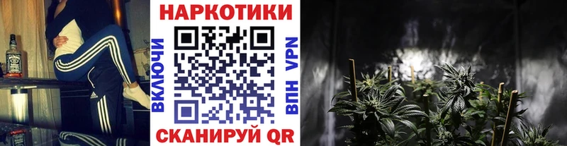 Названия наркотиков Дубовка A-PVP Каннабис
